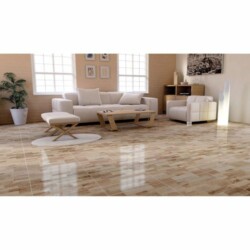 Amazonas 60.8x60.8cm