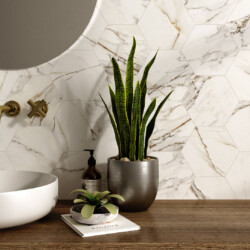 Hex calacatta gold 20x24