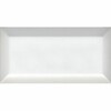 Metro blanco 10x20