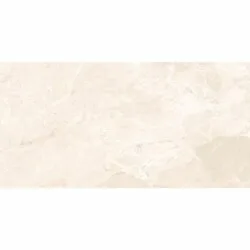 Earthstone Beige 60x120cm