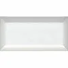 Metro blanco mate 10x20
