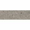 Ceppo Taupe 25x80cm