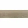 Rainforest Taupe 20x60cm