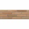 Ascot Fuego 20x60cm