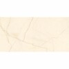 Elegance Marble Ivory Pulido 60x120cm