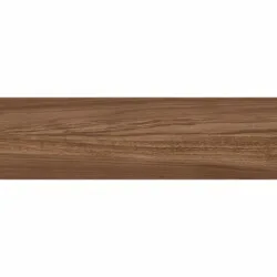 Tibet roble 20x60