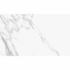 Calacatta White Mate 33.3x55cm