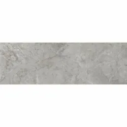 Renoir Gris 20x60cm