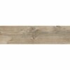 Foresta Brown 20x60cm