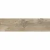 Foresta Brown 20x60cm
