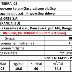 Terra Ice 30x60cm