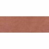 Eagle Coral 25x75cm