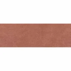 Eagle Coral 25x75cm