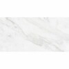 Carrara 25x50cm