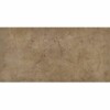 Marfil Capuccino 25x50cm