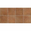 Cotto Kitchen 25x50cm