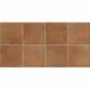 Cotto Kitchen 25x50cm