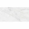 Carrara Hexagon 25x50cm