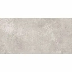 Mercury Grey 25x50cm