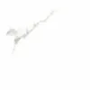 Terni blanco,  25x25