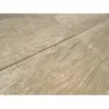 Forest roble 19x56