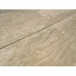 Forest roble 19x56