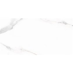 Livorno Gris 25x50cm