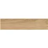 Banak Beige 23,5x101cm