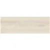 Power Beige 20x60cm