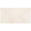 Harlem Beige 25x50cm
