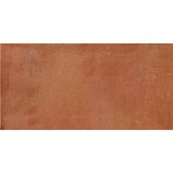 Maiolica Cotto F KL 25x50cm
