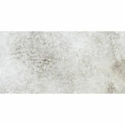 Dafne Gris 30x60cm