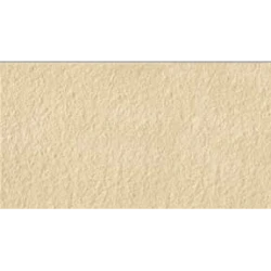 Living Outdoor Pnr Beige   R11 30,8X61,5